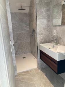 ein Bad mit einer Dusche und einem weißen Waschbecken in der Unterkunft Appart' Au Coeur de Nuits in Nuits-Saint-Georges