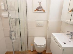 a bathroom with a shower and a toilet and a sink at Ferienhaus Frühlingstraße in Sonthofen