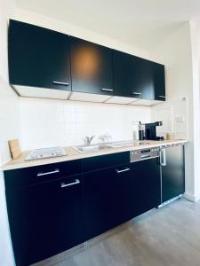 uma cozinha com armários pretos e um lavatório em Gemütliches Studio - Elias- mit Küche, WLAN, Smart-TV & Panoramablick in Citynähe em Erfurt