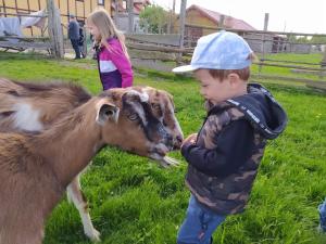 Foto dalla galleria di Pensjonat Przy Stajni a Kierzkowo