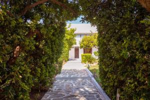 einen Steinweg durch eine Hecke mit einem Gebäude im Hintergrund in der Unterkunft Villa Oasis with Large Pool Athenian Riviera Lagonissi in Lagonisi