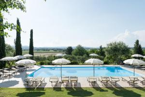 - une piscine avec des chaises longues et des parasols dans l'établissement Agriturismo IL GREPPO, à Abbadia di Montepulciano