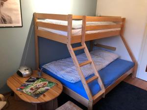 a bunk bed with a wooden ladder and a table at Ferienhaus Hudemühlen KEINE MONTEURE in Hodenhagen