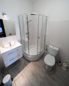 a bathroom with a shower and a toilet and a sink at Kelman Inn Global Nowa Sól in Nowa Sól