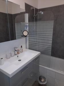 a bathroom with a white sink and a shower at Studio Meublé in Bussy-Saint-Georges
