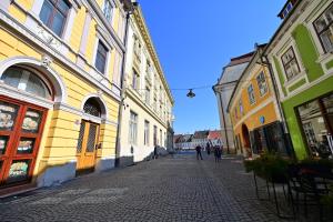 una calle con edificios y gente caminando por una calle en FLH - Royal Studios, en Sibiu