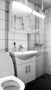 a bathroom with a toilet and a sink and a mirror at Ilona Apartments - "The City Condo" in Kotka