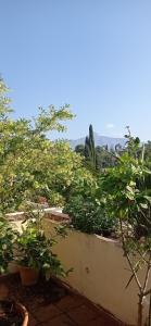 a view from the balcony of a house with trees at Cozy Room with sunny terrace in Marbella