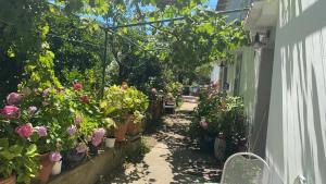 un giardino con piante in vaso e fiori accanto a un edificio di Apartman Annamaria a Cres