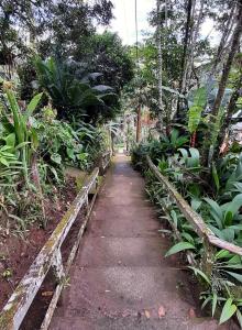 a path through a garden with trees and plants at Ilha Suites - Vila do Abraão in Abraão