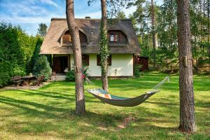 a hammock in a yard in front of a house at DOM POD STRZECHĄ NA KASZUBACH in Ostrowite