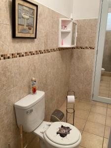 a bathroom with a toilet with a picture on the wall at The Little Blue House in Guayama