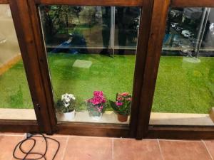 een raam met drie potplanten op een vensterbank bij We Love Home Rome in Rome