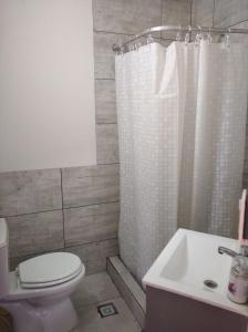 y baño con aseo, ducha y lavamanos. en La Cantonada, alojamiento turístico, Caviahue en Caviahue