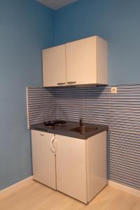 - une cuisine avec un évier et un mur bleu dans l'établissement Apartments & Rooms Andrea 2, à Zadar