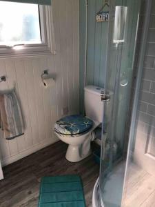 a bathroom with a toilet and a glass shower at Captain's Cabin in Cadgwith