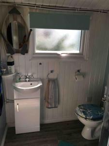 a bathroom with a toilet and a sink and a window at Captain's Cabin in Cadgwith