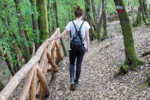 a woman walking on a wooden bridge in the woods at Agriturismo IL Paradiso di Berignone in Caprareccia