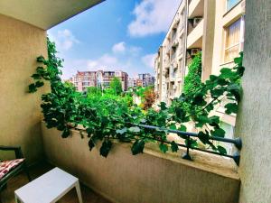 uma varanda com uma planta que cresce ao lado de um edifício em Home Comfort 3 Rooms Apartment Butterfly em Sunny Beach