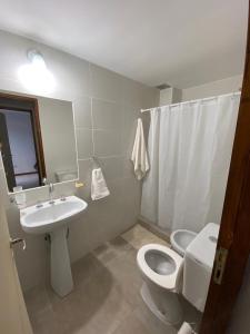a bathroom with a white toilet and a sink at Departamento 2 habitaciones planta baja Hasta 4 huéspedes in Tunuyán