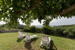 two chairs sitting in the grass under a tree at Villa Botzi-The house on the hill in Marathias