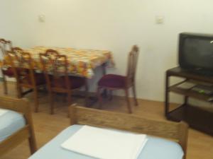 Televízia a/alebo spoločenská miestnosť v ubytovaní Apartment in Kustici with balcony, WiFi, washing machine (4847-1)