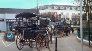 a horse drawn carriage parked on a city street at Killarney Avenue in Killarney +22 photos