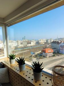 Fotografia z galérie ubytovania Apartament PRL-MORSKA 11 v destinácii Gdynia