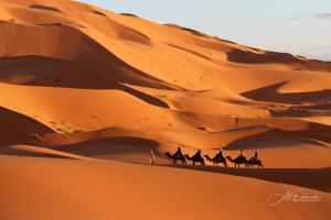 un grupo de gente montando caballos en el desierto en Merzouga Desert camp, en Merzouga