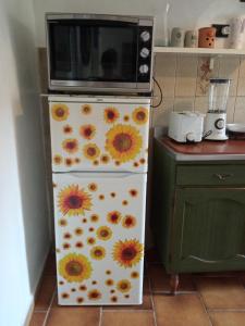 eine Mikrowelle auf einem Kühlschrank in der Küche in der Unterkunft La Casa dell'Elleboro in Giustenice