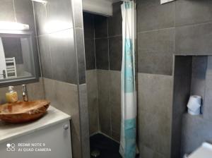 a bathroom with a shower and a sink at Le Terrier du Lapin Blanc in Saint-Brieuc +3 photos