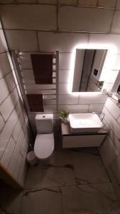 a bathroom with a toilet and a sink and a mirror at Sipis House in Šiauliai