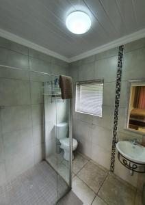 a bathroom with a shower and a toilet and a sink at Huis van Seisoene in Klerksdorp