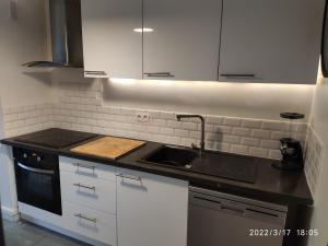 une cuisine avec un évier et un plan de travail dans l'établissement Les Tamaris, à Arles 1 autre photo