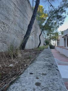 een stoep naast een muur met een boom bij Residence Montepucci in Peschici