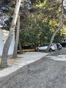 佩斯基奇的住宿－Residence Montepucci，一群停在一个树木繁茂的停车场的汽车