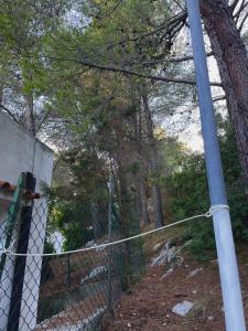 ペスキチにあるResidence Montepucciの木を背景に連鎖柵