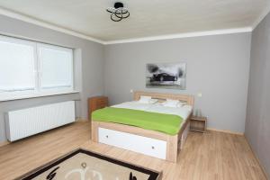 Cama o camas de una habitación en Apartman v centre Rimavskej Soboty