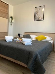 Gallery image of Apartman Ana in Crno