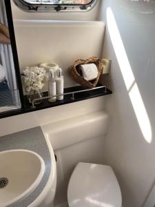 a small bathroom with a toilet and a sink at ENTIRE YACHT -LUXURY -TRANQUIL -RELAXING- PEACEFUL - ESCAPE -HEATED -2 Double bedrooms both en-suit -70sqm - sleeps up to 4 people - moored on our Private Island - nearby LEGOLAND THORPE PARK ASCOT RACES WENTWORTH LONDON Lapland UK NO Parties in Egham