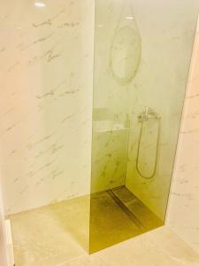 bagno con doccia e porta in vetro di Apartma FRIGO a Maribor
