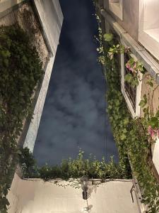 una ventana con plantas y vistas al cielo en Le Petit Palais en Buenos Aires