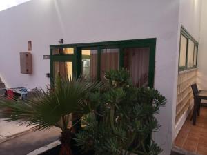 カレタ・デ・フステにあるBest Apartament Caleta de Fusteの植物の前の部屋への扉