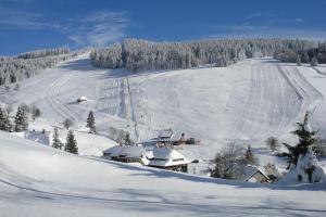 Ferienwohnung-Schwarzwald-in-der-Pension-Gloecklehof ziemā