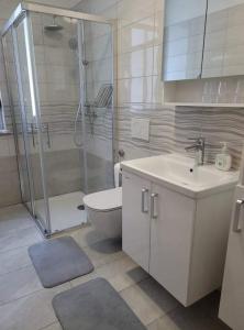 La salle de bains est pourvue d'une douche, de toilettes et d'un lavabo. dans l'établissement Apartma Uhanje pri Božičevih, à Ajdovščina