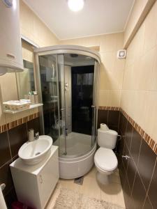 a bathroom with a shower and a toilet and a sink at Apartman Kata in Zlatibor