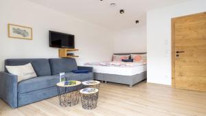 Televisyen dan/atau pusat hiburan di StuWip alps Appartements Adlerhorst
