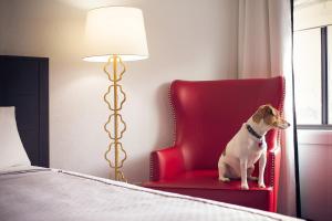 Postel nebo postele na pokoji v ubytování Capitol Hill Hotel + 26 fotografií