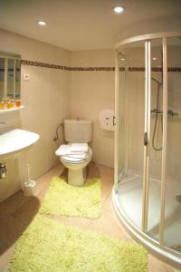 a bathroom with a toilet and a shower and a sink at Flat in Alsace near Vosges Nature Park in Morschwiller