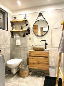 a bathroom with a toilet and a mirror at Mini villa chaleureuse avec vue mer imprenable in San-Nicolao +6 photos